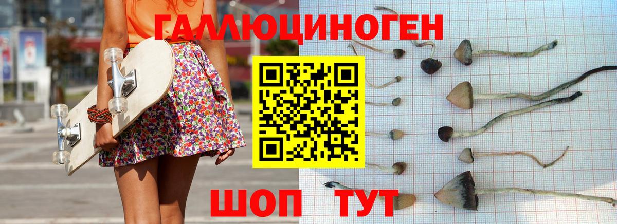 Галлюциногенные грибы GOLDEN TEACHER  Псилоцибиновые грибы Psilocybe  Вход с VPN  закладка  Архангельск 
