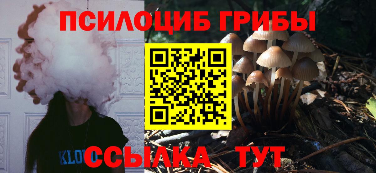 Галлюциногенные грибы мицелий Архангельск